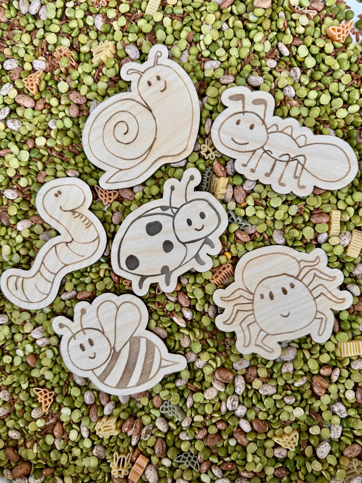Wooden Bug Characters