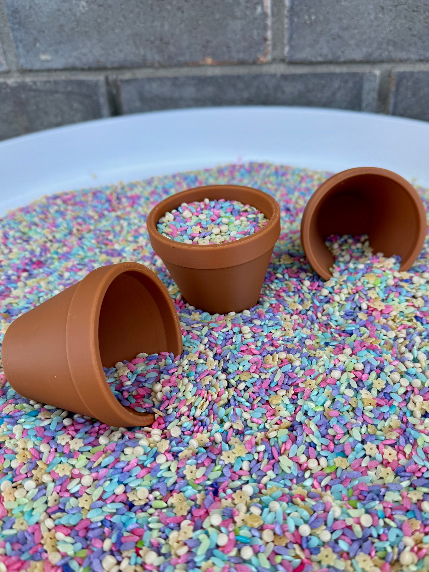 Fairy Garden + Bugs & Dirt