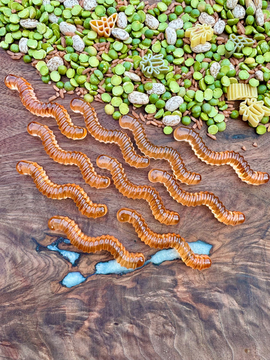 Resin Worm Counters - Orange