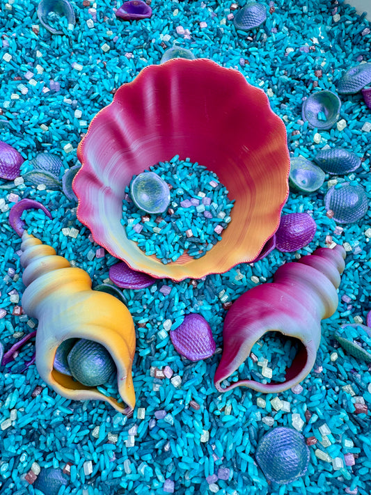 Shells and Bowl Pack Multicolour