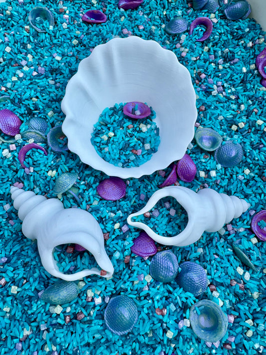 Shells and Bowl Pack White
